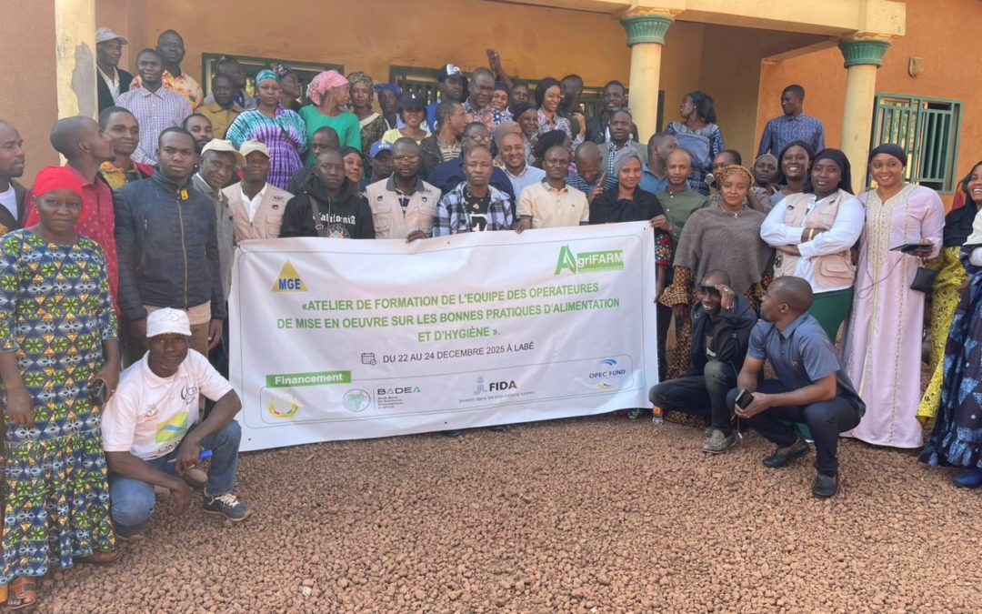 AgriFARM – Maison Guinéenne de l&rsquo;Entrepreneur                       Renforcement des capacités des agents de mise en œuvre du projet AgriFARM sur les bonnes pratiques nutritionnelles à Labé