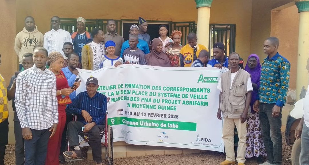 Projet AgriFARM – Maison Guinéenne de l’Entrepreneur    Labé: un système de veille des marchés agricoles désormais en marche dans 13 localités de la Moyenne Guinée