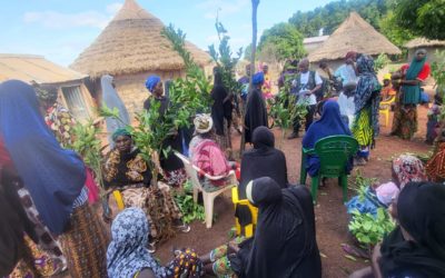 Haute Guinée : AgriFARM renforce les systèmes agroforestiers avec la distribution de 19 000 plants d&rsquo;orangers améliorés aux producteurs de la région de Kankan.