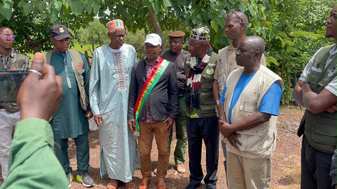 Koubia : le Groupement UGVD-AVGRN-VDD lance officiellement la mise en terre des plants fruitiers à Songhessa